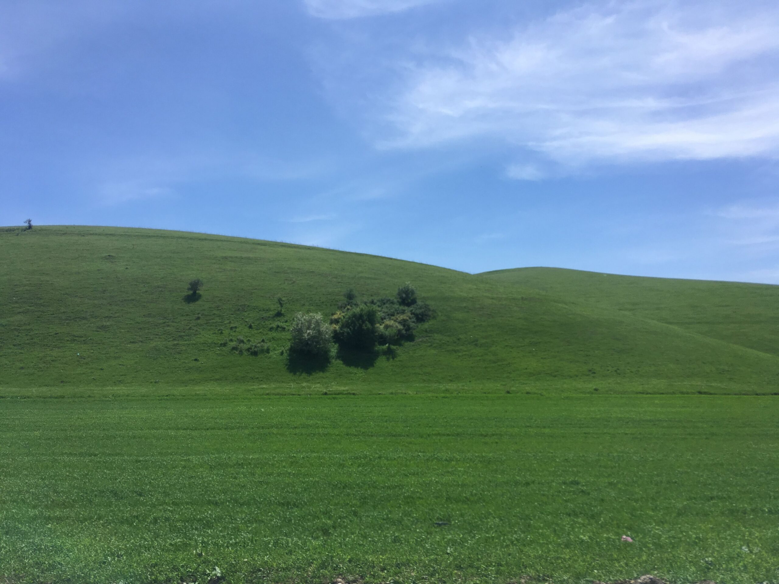 C020D2B3-4E80-497D-A043-D834712369C4.jpeg